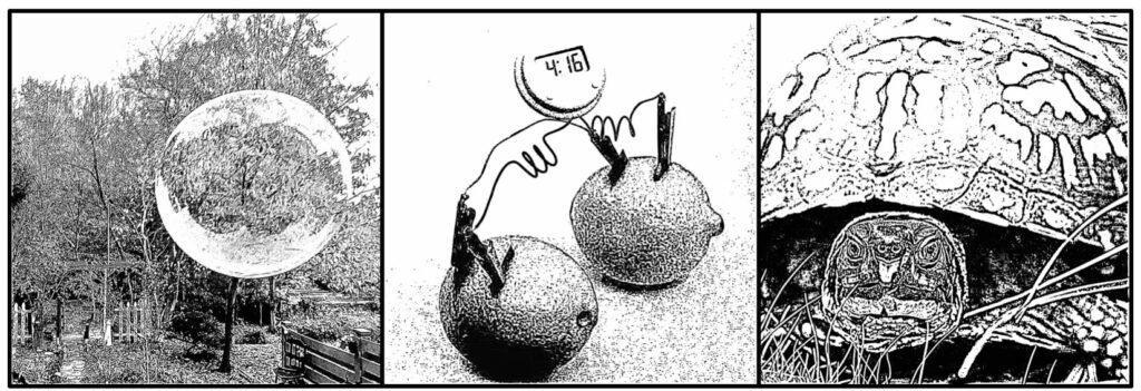 Lawrence Souder My Life as an Amateur Scientist